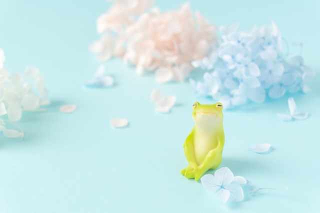 紫陽花とカエル